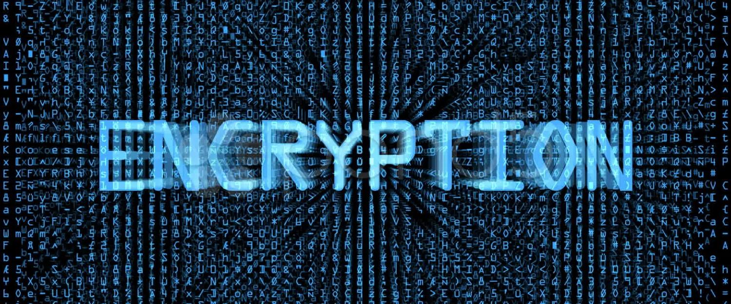 Cyber Insights from Bigger